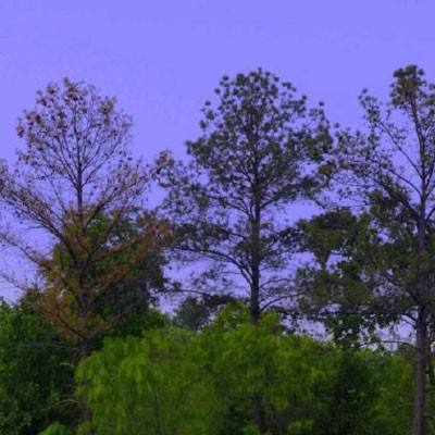 银河国际官网app下载下载手机版