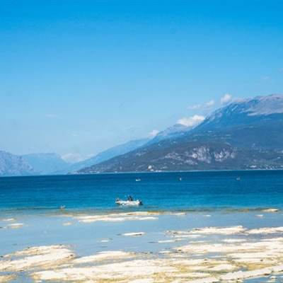 NG体育·(南宫)手机app下载