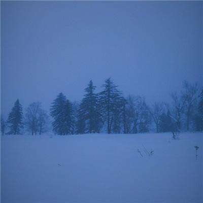 乐宝体育官网登录入口手机app下载