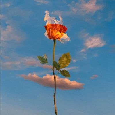 皇冠APP官方版下载安装下载手机版