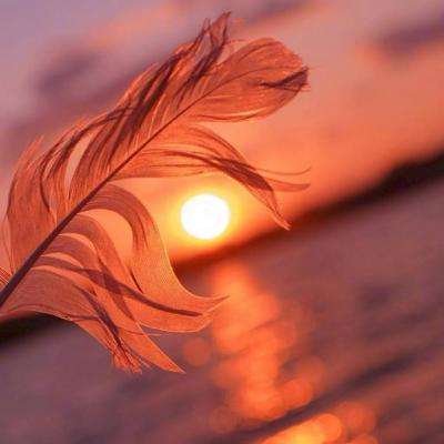 火狐体育APP体育