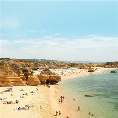 爱游戏·体育APP