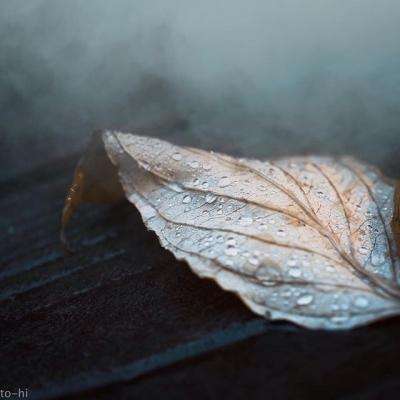 南宫28ng娱乐手机app下载