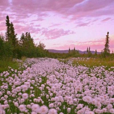 欧意交易平台下载截图