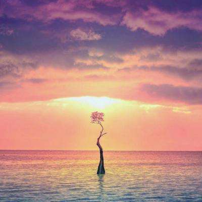 完美电竞平台手机app下载